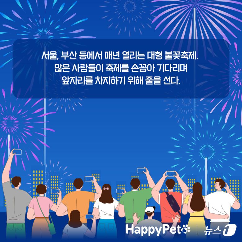 불꽃놀이 펫카드 ⓒ 뉴스1