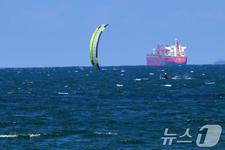 영일만에 화물선들이 정박돼 있다.. 2024.6.3/뉴스1 ⓒ News1 최창호 기자