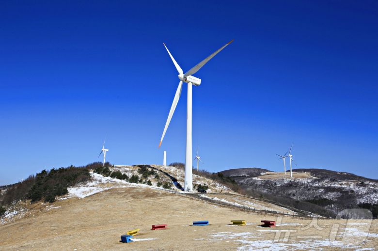 대관령에는 여러 목장이 자리한다(한국관광공사 제공)