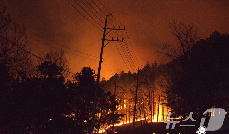 22일 오전 11시 45분쯤 경북 의성군 안평면에서 시작한 산불이 오후10시가 넘도록 계속 확산하고 있다. 의성읍으로 진입하는 길목마다 계속 불이 타고있다. 2025.3.22/뉴스1 ⓒ News1 신성훈 기자