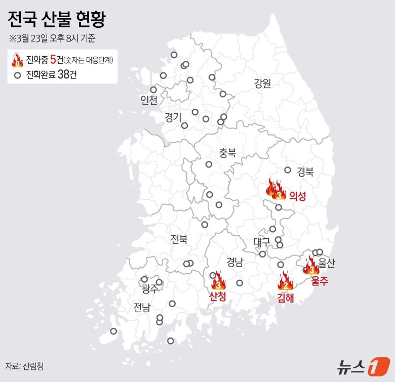 ⓒ News1 김지영 디자이너