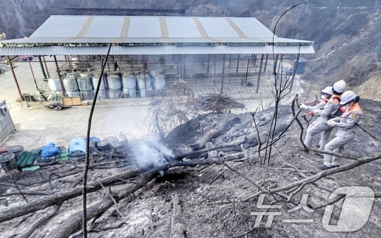 울산 울주 온산읍 운화리 산불이 이틀째에 접어든 23일 산불진화대원들이 진화 작업을 하고 있다. (울산소방본부 제공. 재판매 및 DB금지) 2025.3.23/뉴스1 ⓒ News1 조민주 기자