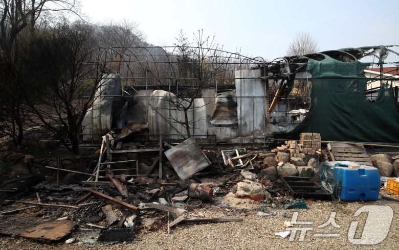 경남 산청 대형 산불이 사흘째로 접어든 23일 오후 산청군 시천면 한 민가가 산불로 인해 검게 타 있다. 2025.3.23/뉴스1 ⓒ News1 윤일지 기자