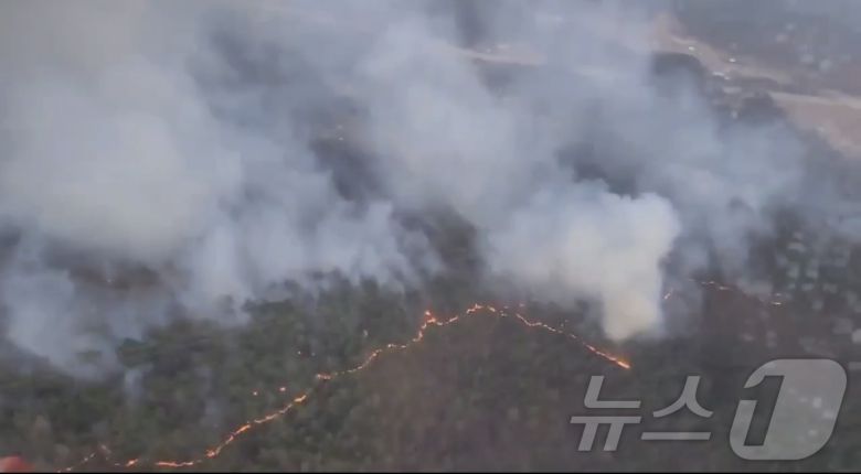 22일 울산 울주 온산읍 운화리 임야에서 산불이 발생했다. 소방당국은 현재 인력 160여명을 투입해 70%가량 진화한 상태다.(울산소방본부 제공, 재판매 및 DB금지) 2025.3.22/뉴스1 ⓒ News1 김종엽 기자