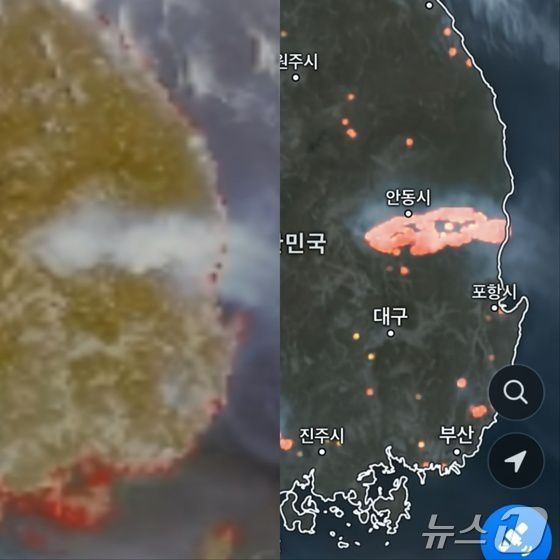 뉴스1
