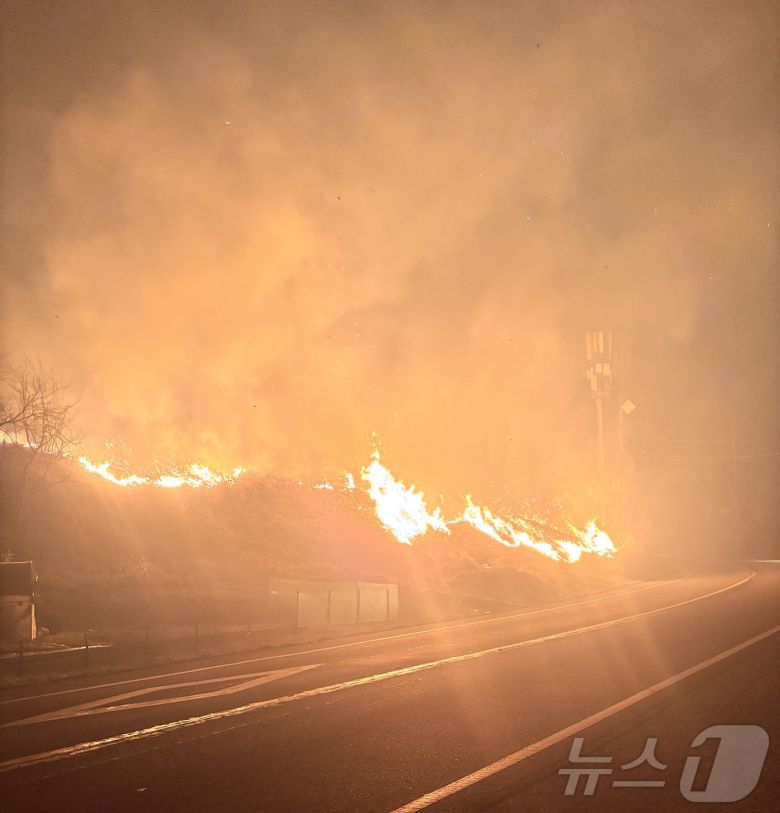 지난 22일 울산시 울주군 온양읍 대운산 부근에서 발생한 산불이 강한 바람을 타고 재확산 중이다. 대운산 산불이 인근 도로까지 불길이 번지고 있다. (독자제공. 재판매 및 DB금지)2025.3.25/뉴스1 ⓒ News1 김지혜 기자
