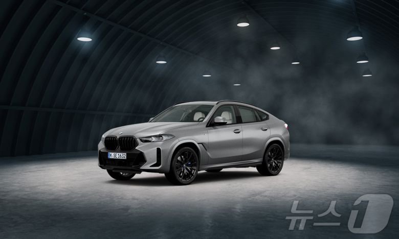 BMW X6 xDrive40i M 스포츠 프로 스페셜 에디션