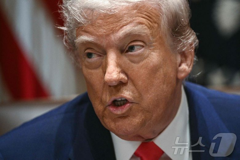 도널드 트럼프 미국 대통령. ⓒ AFP=뉴스1 ⓒ News1 우동명 기자