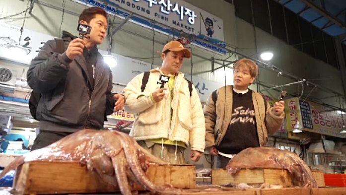 뉴스1