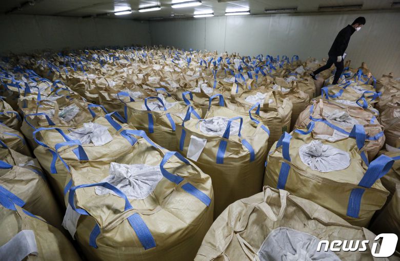 용인시 농협쌀조합공동사업법인 미곡종합처리장 저온창고에서 직원이 수매 후 보관 중인 쌀을 살펴보는 모습.  ⓒ News1 김도우 기자