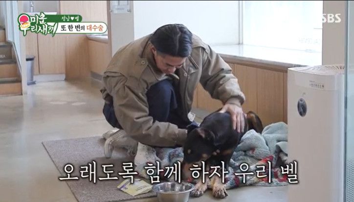 SBS '미운 우리 새끼'