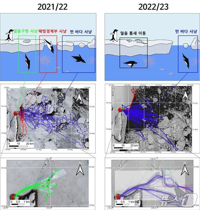 해양환경에 따른 아델리펭귄의 먹이사냥 전략(극지연구소 제공)