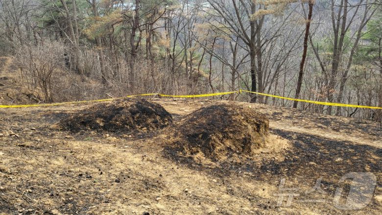 29일 경북 의성군 괴산리 야산의 최초 발화지점에 산림 당국의 출입 통제 라인이 설치돼 있다. 경북경찰청은 의성 산불 최초 발화 지점에서 증거 물품인 라이터를 확보했다. 2025.3.29/뉴스1 ⓒ News1 이성덕 기자