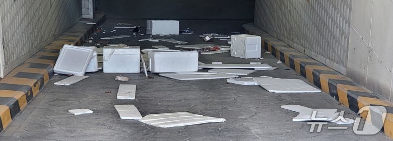 4일 오후 강원 원주시 한 건물 지하주차장 출입구 주변에 바람으로 쓰러져 내린 폐기물이 널려 있는 모습. 2025.5.4/뉴스1 신관호 기자