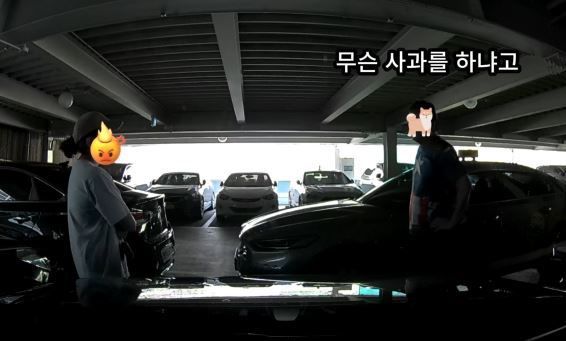 (온라인 커뮤니티 '보배드림' 갈무리)