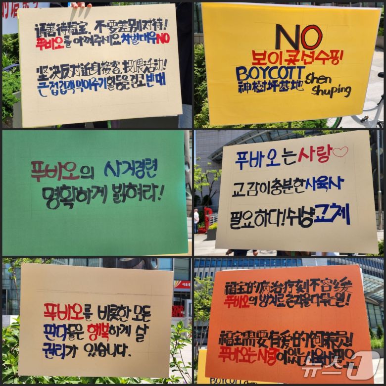 7일 서울시 중구에 모인 푸바오 팬들이 든 피켓 모음. 2025.05.07/ⓒ 뉴스1 권진영 기자