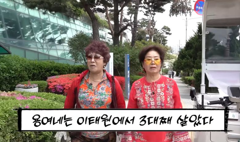 유튜브 선우용여