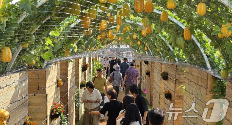 주말인 17일 경북 성주 성밖숲 일원에서 열리고 있는 '성주 참외·생명 문화축제'에 참여한 시민들이 참외터널을 구경하고 있다. 축제는 오는 18일까지 열린다. 2025.5.17/뉴스1 ⓒ News1 정우용 기자