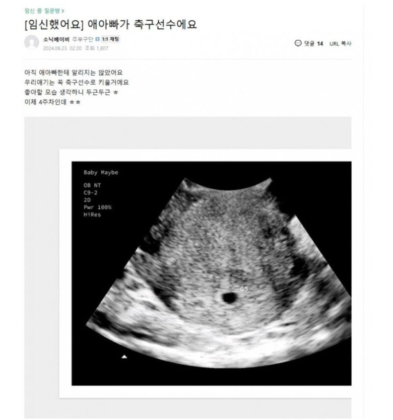 (온라인 커뮤니티 갈무리)