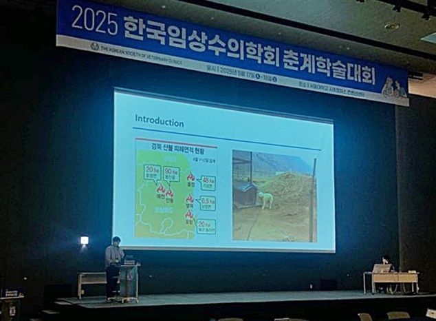정한울 로얄동물메디컬센터 수의사가 2025 한국임상수의학회 춘계학술대회에서 발표하고 있다(로얄동물메디컬센터 제공). ⓒ 뉴스1