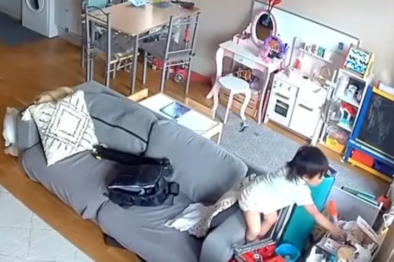 약을 찾는 장면. (틱톡 갈무리)