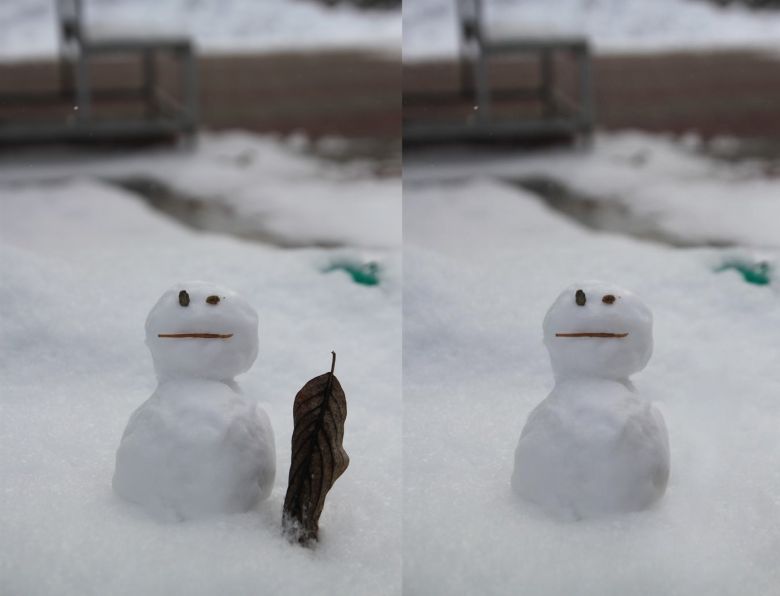 클로바X의 AI 지우개 기능으로 나뭇잎을 지우기 전(왼쪽)과 후.(클로바X 화면 갈무리)