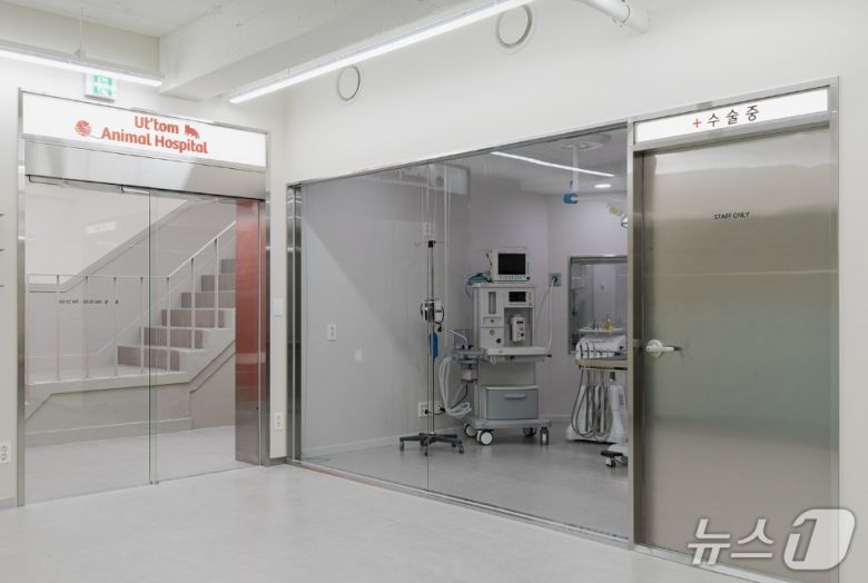 으뜸동물의료센터 치과 수술실(동물병원 제공) ⓒ 뉴스1