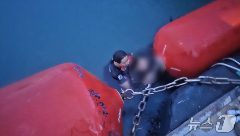 여수해경이 15일 고흥군 녹동항에서 바다에 빠진 시민을 구조하고 있다.(여수해경 제공. 재판매 및 DB 금지) 2025.6.15
