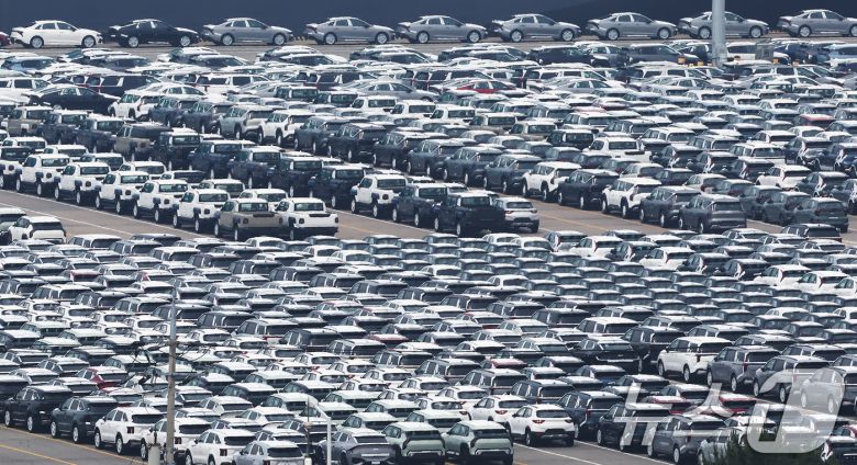 13일 경기 평택시 포승읍 평택항 자동차전용부두에 수출용 차량들이 세워져 있다. 2025.6.13/뉴스1 ⓒ News1 장수영 기자