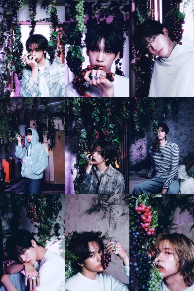 스타쉽엔터테인먼트