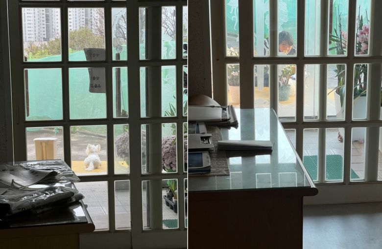 마당에 앉아있다 손님 맞는 까멍이(심서현 제공) ⓒ 뉴스1