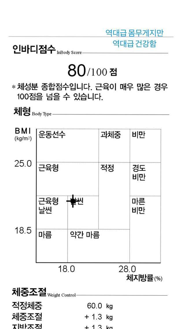 하니 인바디/인스타그램 캡처
