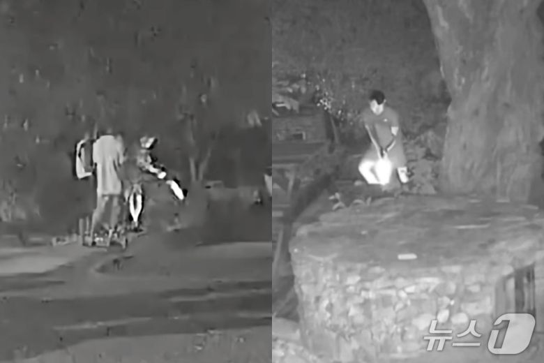 (비글구조네트워트 갈무리)