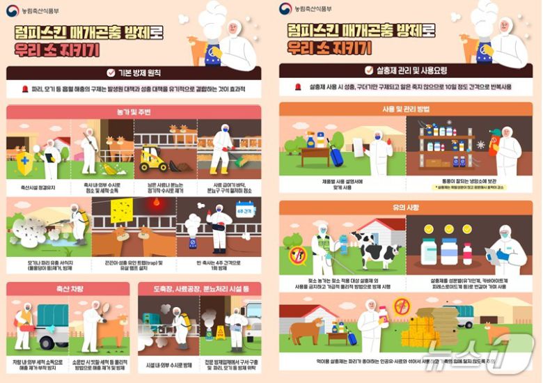 럼피스킨 방제 요령 안내 포스터.(경남도 제공. 재판매 및 DB 금지)