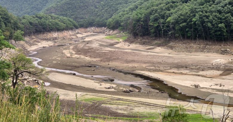 8일 강원 강릉시 성산면 오봉저수지 인근 도마천 일대가 바닥을 드러내고 있다. 이날 기준 오봉저수지 저수율은 32%로, 전국 평균(62.2%)보다 현저히 낮은 수준을 보이고 있다. 2025.7.8/뉴스1 ⓒ News1 윤왕근 기자