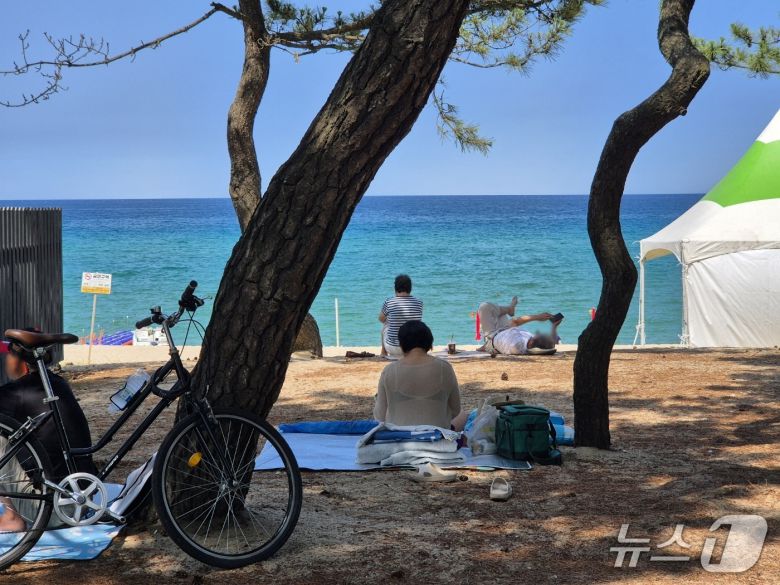 9일 강릉 송정해변을 찾은 시민과 나들이객들이 솔밭 그늘에서 무더위를 식히고 있다. 2025.7.9/뉴스1 윤왕근 기자