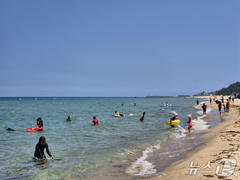 9일 개장한 강원 동해시 망상해수욕장을 찾은 피서객들이 물놀이를 즐기고 있다. 2025.7.9/뉴스1 윤왕근 기자