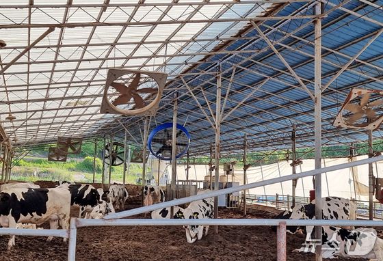 전북 임실군이 여름철을 앞두고 축산농가의 자연 재난 피해를 사전 예방하기 위해 축산시설에 대한 사전 안전점검을 실시한다.(임실군제공. 재판매 및 DB금지)2025.5.30/뉴스1