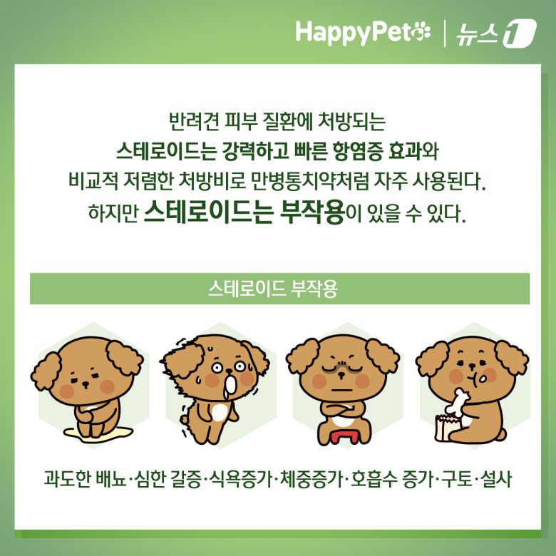 ⓒ News1 김초희 디자이너