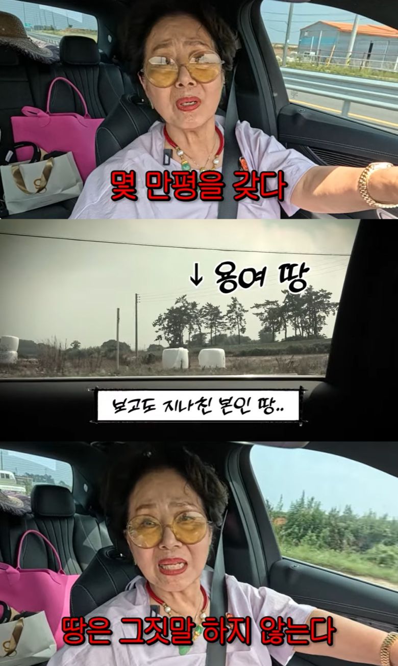 (유튜브 채널 '순풍 선우용여' 갈무리)