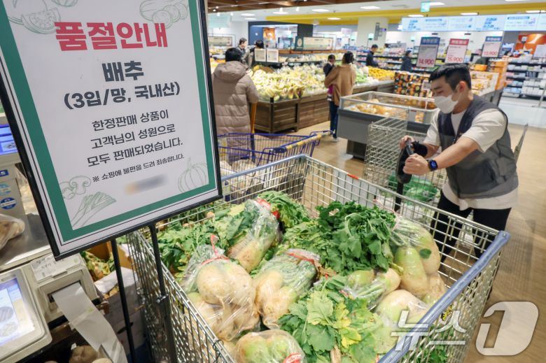 서울의 한 대형 마트에서  배추 품절 안내를 하고 있다.  2024.11.18/뉴스1 ⓒ News1 민경석 기자