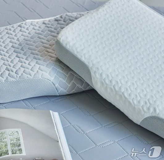 홈앤쇼핑서 판매하는 드모아 베개. (홈앤쇼핑 제공)