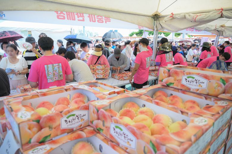세종 조치원 복숭아축제 '복숭아 판매장. (세종시 제공. 재판매 및 DB금지)