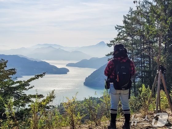 충주 계명산 임도에사 바라본 충주호.(자료사진)/뉴스1