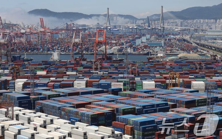 부산항 신선대부두와 감만부두 야적장에 컨테이너가 가득 쌓여 있다. 2025.6.30/뉴스1 ⓒ News1 윤일지 기자