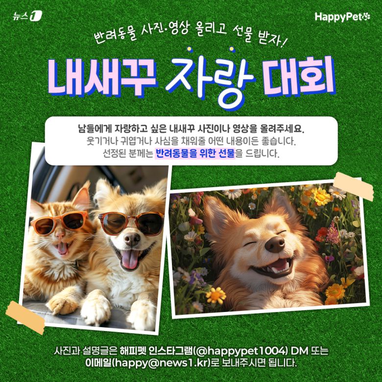 해피펫 내새꾸 자랑대회에 참여하시면 반려동물을 위한 선물을 드립니다. ⓒ 뉴스1 이지윤 디자이너