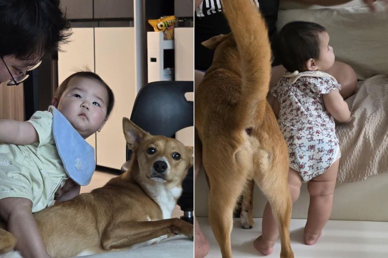 행동도 닮아가는 모루와 아기(인스타그램 naaaa0_2 제공) ⓒ 뉴스1