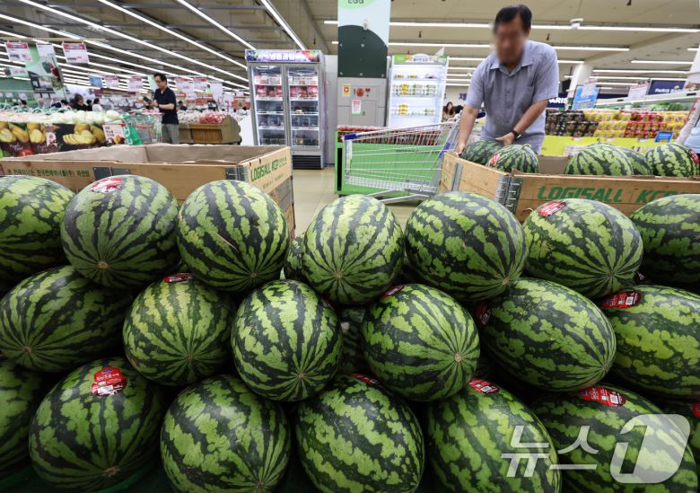서울의 한 대형마트를 찾은 시민이 수박을 고르고 있다.  2025.8.5/뉴스1 ⓒ News1 구윤성 기자