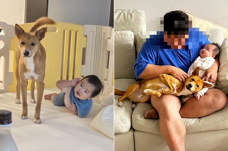 아기와 잘 지내는 반려견 모루(인스타그램 naaaa0_2 제공) ⓒ 뉴스1