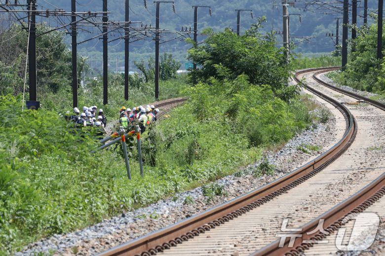 19일 오전 10시 52분쯤 경북 청도군 화양읍 삼신리 청도소싸움 경기장 인근 경부선 철로에서 마산으로 향하던 무궁화 열차가 선로에서 작업하던 근로자 7명을 치는 사고가 발생했다. 경찰과 소방, 코레일 등 관계자들이 사고 현장을 조사하고 있다. 2025.8.19/뉴스1 ⓒ News1 공정식 기자